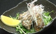 ハライチ 澤部さん行きつけ店「博多もつ処 煌梨」人気メニューBEST3